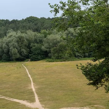 Casa vacanze Moss & Leaf Op De Veluwe In *
