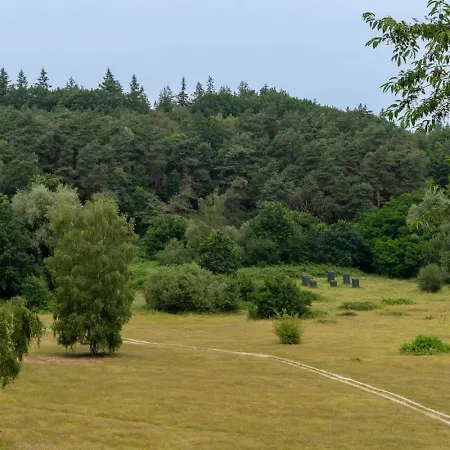 Holiday home Moss & Leaf Op De Veluwe In *